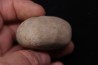 Macraster roberti var ovata albien - L cretaceous Duck creek formation Grayson co, Texas, USA