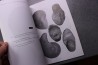 Rulleau Les nautiles du lias et du dogger de la région lyonnaise 150 pages 2008