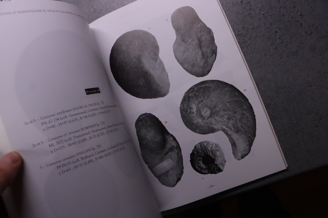 Rulleau Biostratigraphie et paléontologie de la région lyonnaise: Tome 2, Du socle au Lias moyen 230 pages 2007
