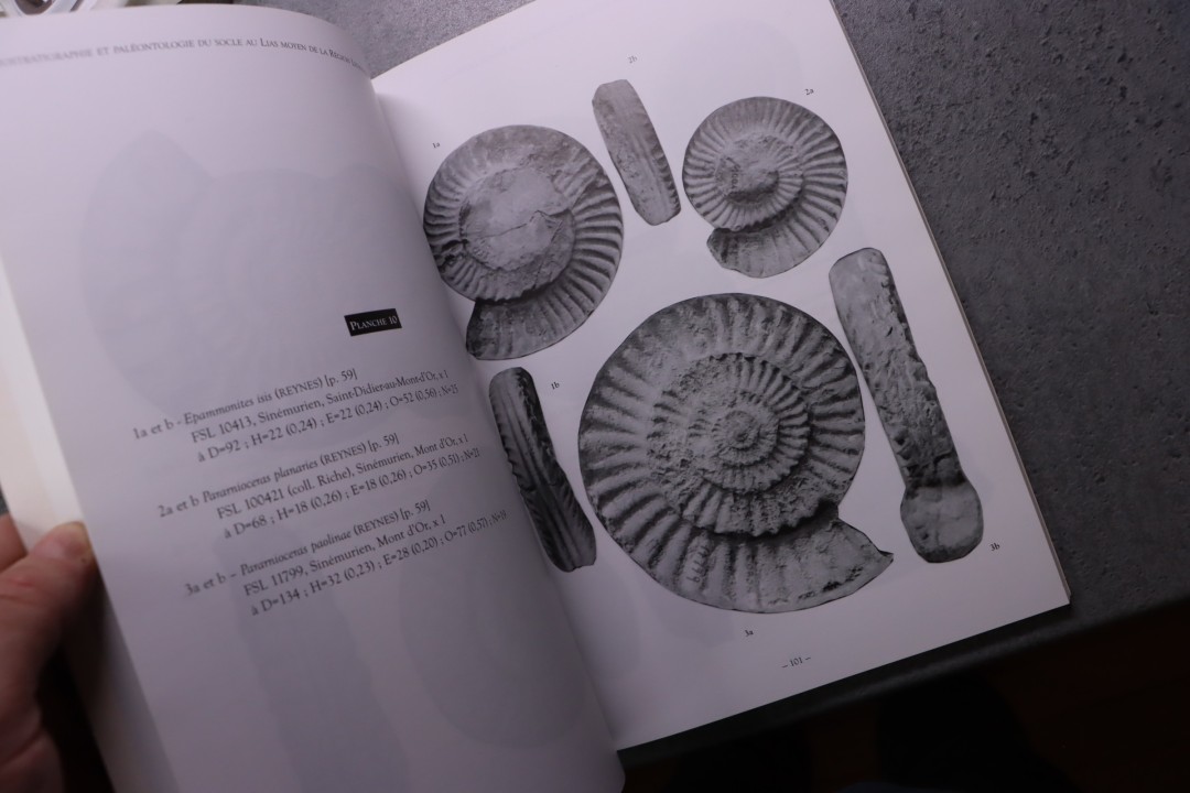 Rulleau Biostratigraphie et paléontologie de la région lyonnaise: Tome 2, Du socle au Lias moyen 230 pages 2007