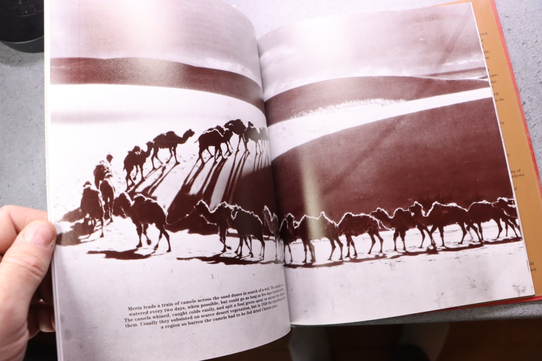ann Bausum Dragon Bones and Dinosaur Eggs: A Photobiography of Explorer Roy Chapman Andrews - 2000