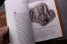 ann Bausum Dragon Bones and Dinosaur Eggs: A Photobiography of Explorer Roy Chapman Andrews - 2000