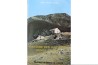histoire des anciennes mines et gites de l oisans  Anne et Michel  LEGROS - 1979