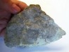 ARCHAEOCIDARIS ALIQUANTULA (1)