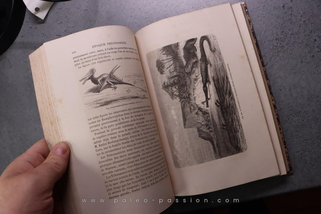 La terre avant le déluge  Louis Figuier  472 pages 1864