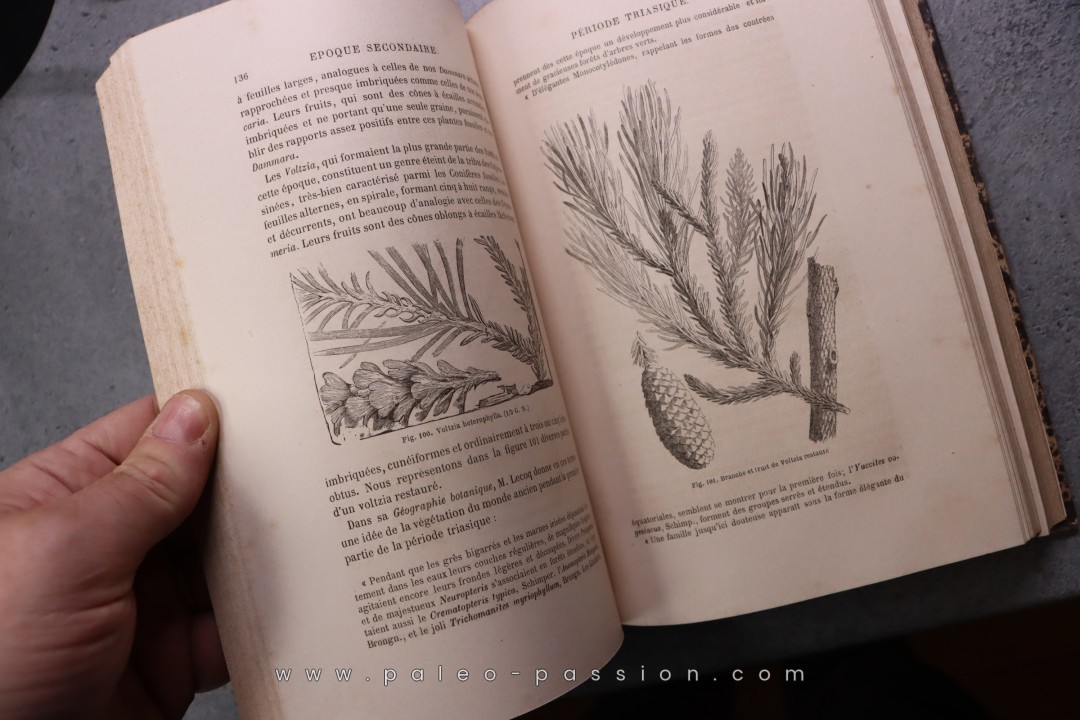La terre avant le déluge  Louis Figuier  472 pages 1864