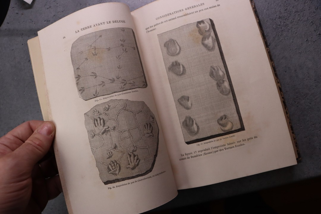 La terre avant le déluge  Louis Figuier  472 pages 1864