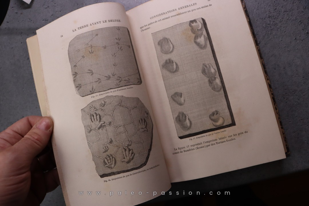 La terre avant le déluge  Louis Figuier  472 pages 1864