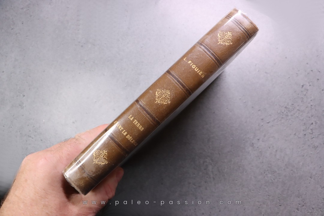 La terre avant le déluge  Louis Figuier  472 pages 1864