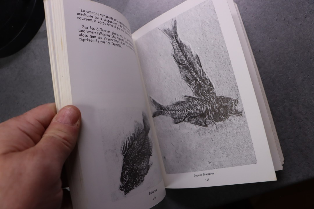 Sites fossilifères du sud-est de la France  Christian Ollivier  224 pages  1988
