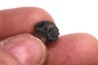 dinosaur tooth  ankylosaurus magniventris  Hell Creek  Formation  upper cretaceous   Dawson County, Montana - USA