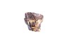 dinosaur tooth  ankylosaurus magniventris  Hell Creek  Formation  upper cretaceous   Dawson County, Montana - USA