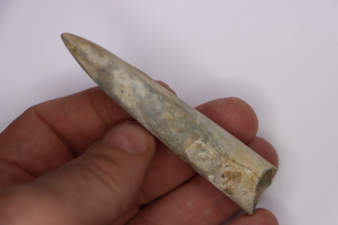 bélemnite:  Acrocoelithes quenstedti (Oppel, 1856)  Aalenien - Nièvre 58 - France