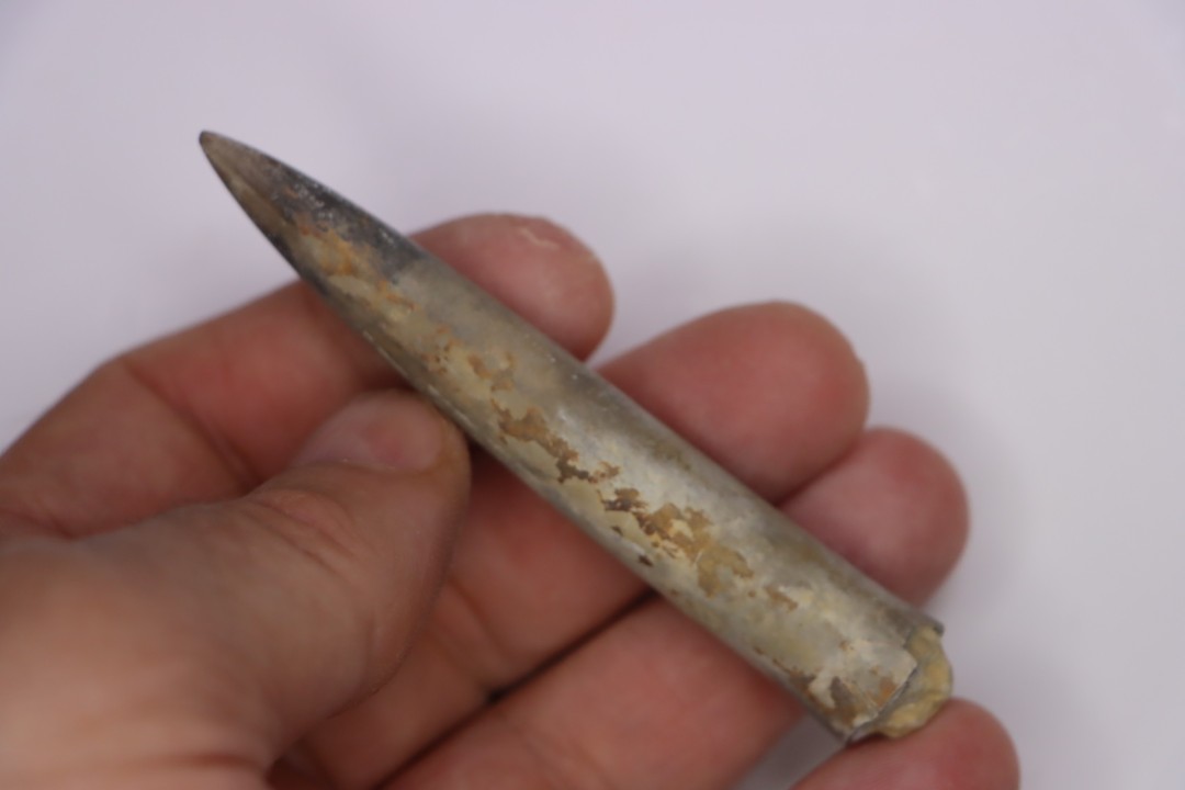 bélemnite:  Acrocoelithes quenstedti (Oppel, 1856)   Aalenian  - Nièvre 58 - France