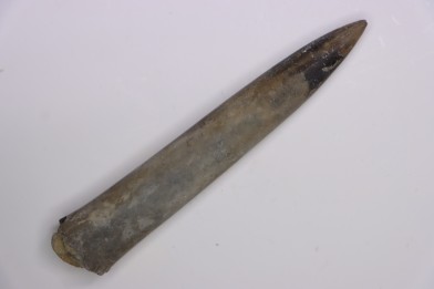 bélemnite:  Acrocoelithes quenstedti (Oppel, 1856)   Aalenian  - Nièvre 58 - France