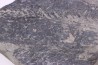 bourgeon spiciformes: Macrostachya infundubiliformis - Stephanian (carbonifere) Sanvignes les Mines (71) FRANCE