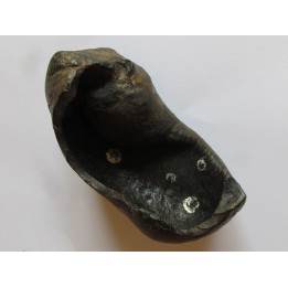 whale earbone (1)