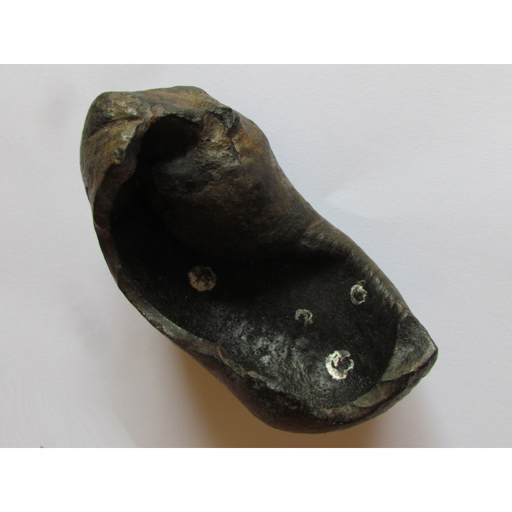 whale earbone (1)