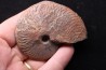 OSPERLEIOCERAS BICARINATUM (Zieten, 1830) TOARCIEN Carrière Belmont - LYON - FRANCE