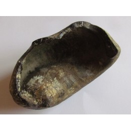 bulla tympani (2)