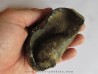 whale earbone (2)