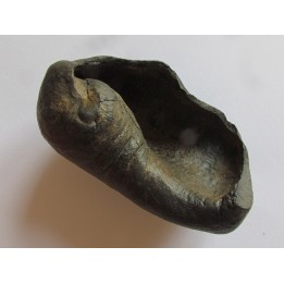 whale earbone (3)