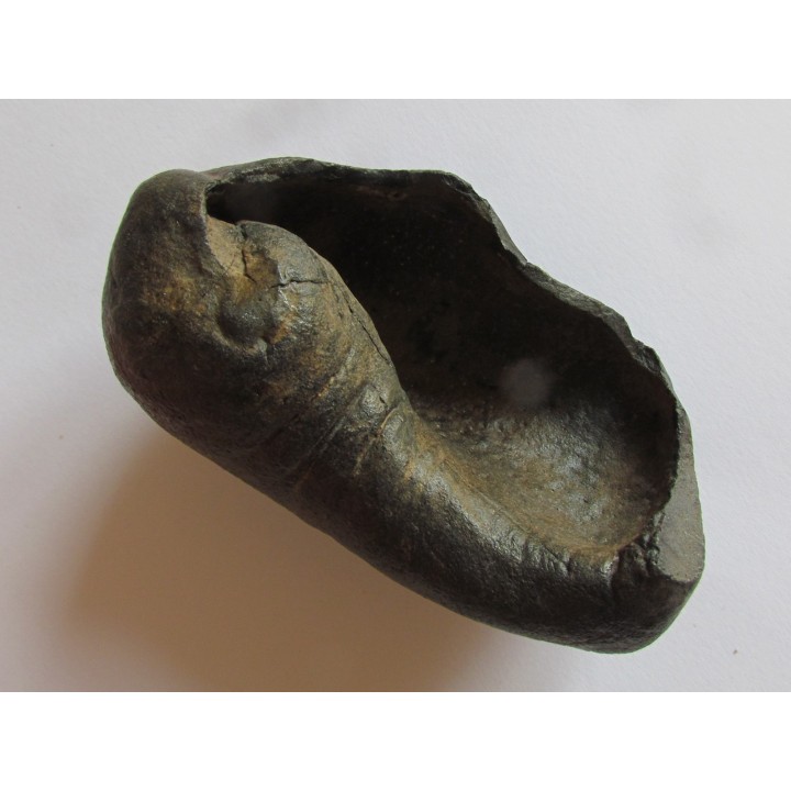 whale earbone (3)