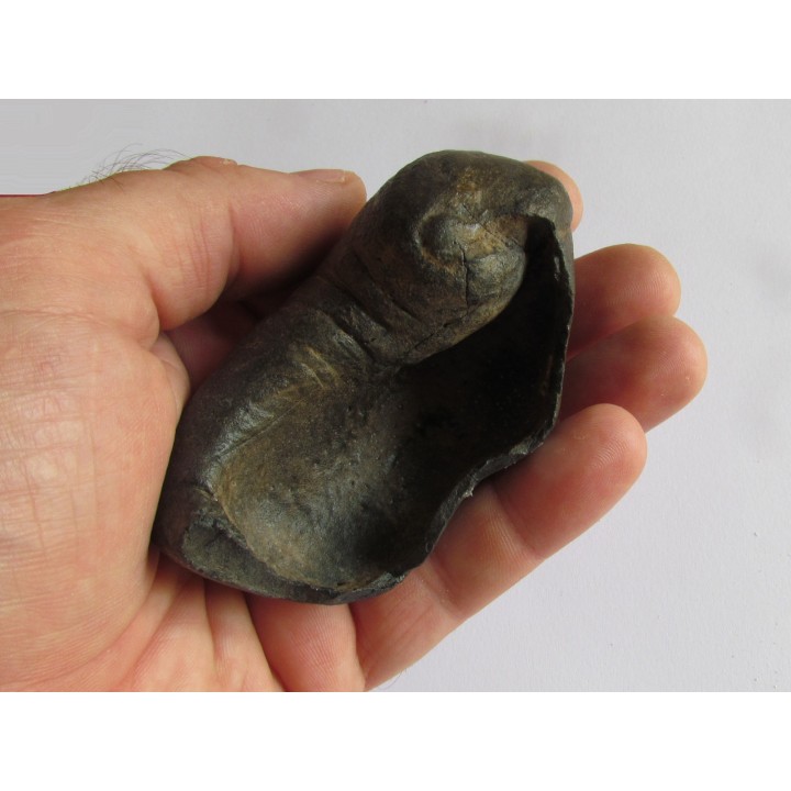 whale earbone (3)