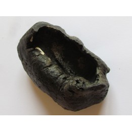 bulla tympani (4)