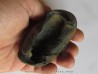 bulla tympani (5)