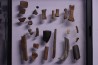 collection de plus de 25 os dinosaures - microfossiles - Lance Fmt , Weston County, Wyoming, USA