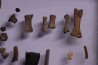 collection de plus de 25 os dinosaures - microfossiles - Lance Fmt , Weston County, Wyoming, USA