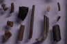 collection de plus de 25 os dinosaures - microfossiles - Lance Fmt , Weston County, Wyoming, USA