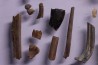 collection de plus de 25 os dinosaures - microfossiles - Lance Fmt , Weston County, Wyoming, USA