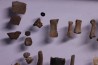 collection de plus de 25 os dinosaures - microfossiles - Lance Fmt , Weston County, Wyoming, USA