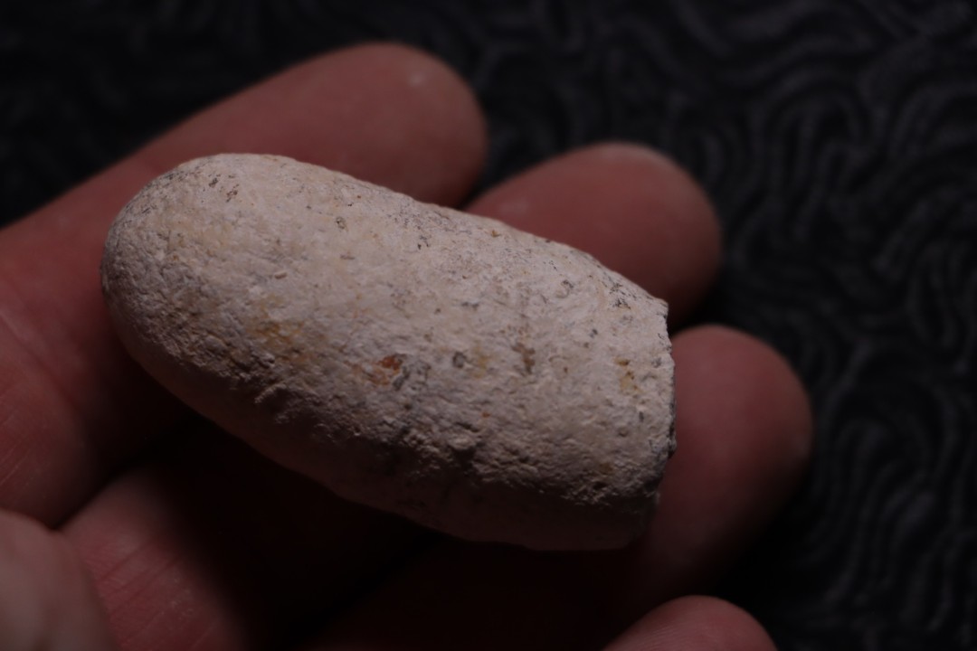 CROCODIL EGG: CROCODILIENOVUM BUXOWILLANUM - Lutetian - Bouxwiller - FRANCE