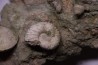 Bloc des sables verts de l’albien inferieur de Bellegarde, Ain, FRANCE