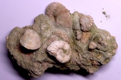 Bloc des sables verts de l’albien inferieur de Bellegarde, Ain, FRANCE