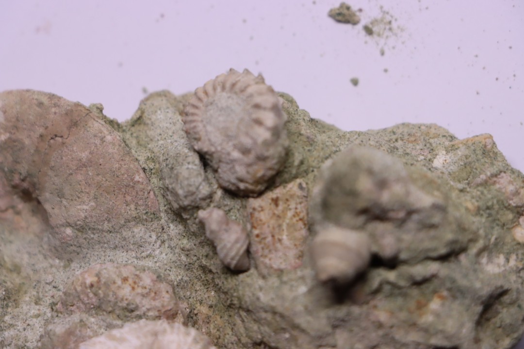 Bloc des sables verts de l’albien inferieur de Bellegarde, Ain, FRANCE