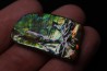 AMMOLITE : upper cretaceous - Alberta - CANADA