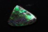 AMMOLITE - crétacé supérieur - Alberta, CANADA