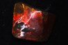 AMMOLITE : upper cretaceous - Alberta - CANADA