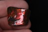 AMMOLITE : upper cretaceous - Alberta - CANADA