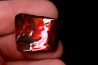 AMMOLITE : upper cretaceous - Alberta - CANADA