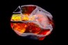 AMMOLITE : upper cretaceous - Alberta - CANADA