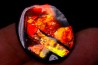 AMMOLITE : upper cretaceous - Alberta - CANADA