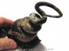 ACRIOCERAS SARASINI et PTYCHOPHYLLOCERAS