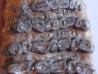 MAMMOTH TOOTH:  mammuthus meridionalis (2)