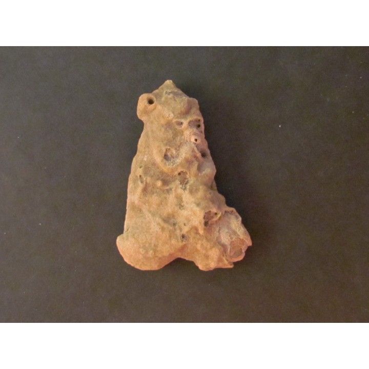 shark  tooth  Fully coated  of a crusting of coral (9)