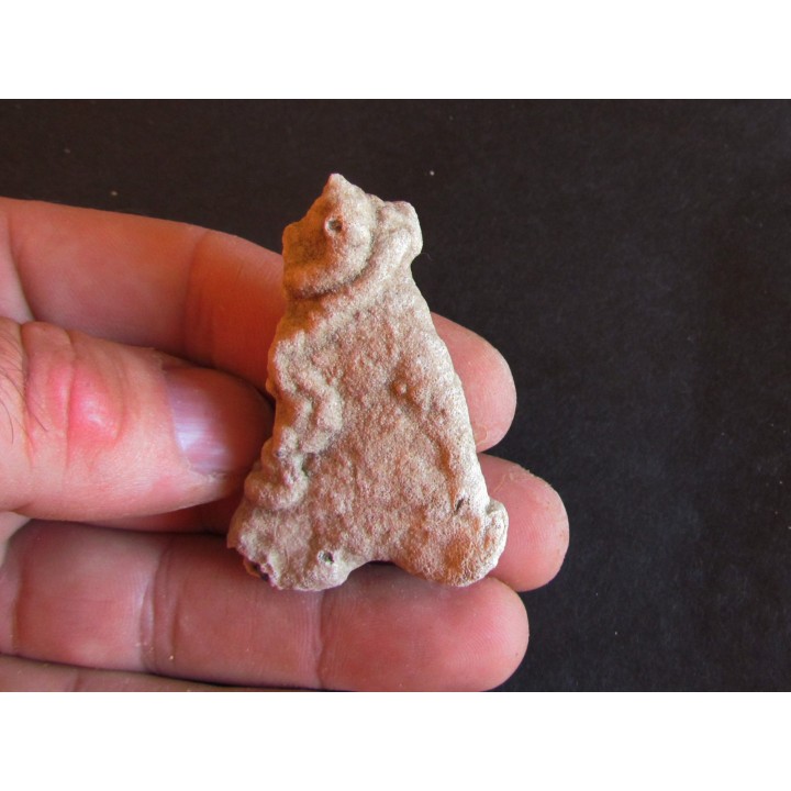 shark  tooth  Fully coated  of a crusting of coral (9)